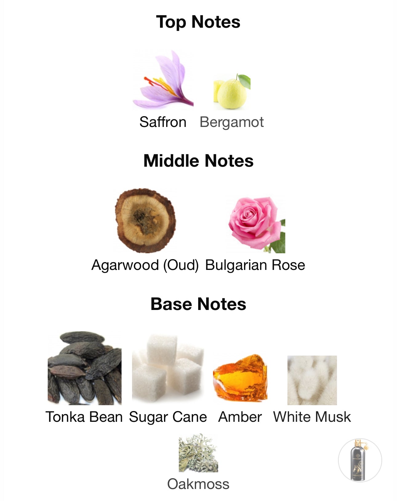 Montale Arabians Tonka Sample