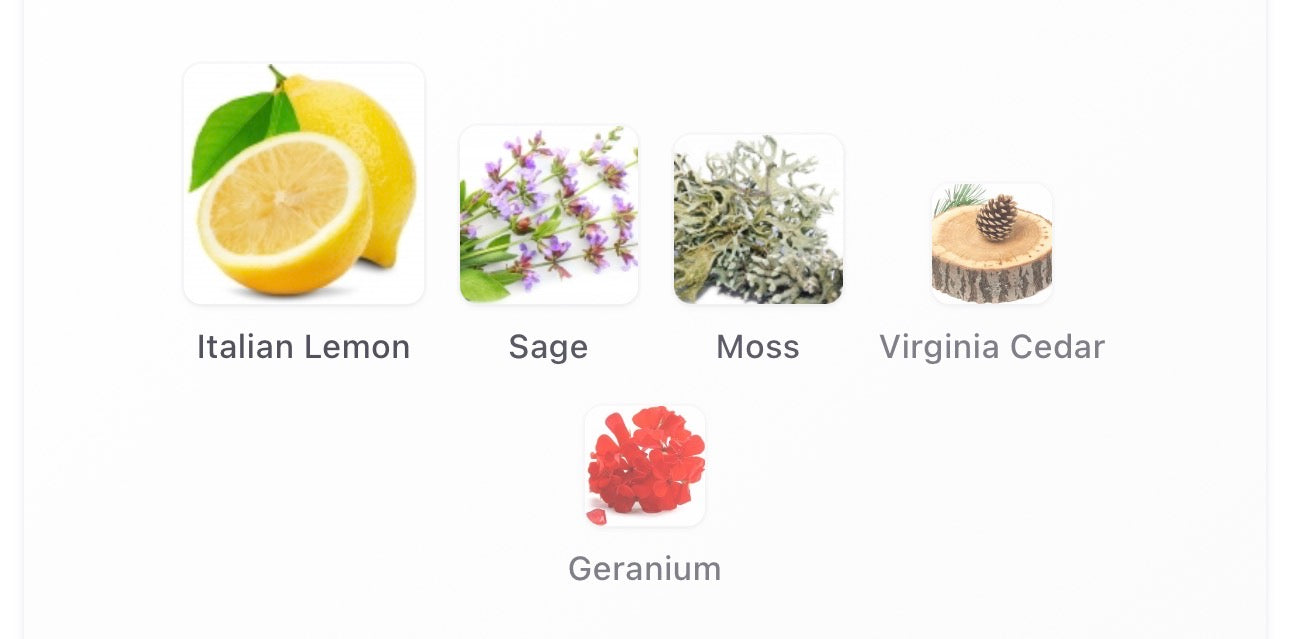 Goldfield & Banks Pacific Rock Moss Sample