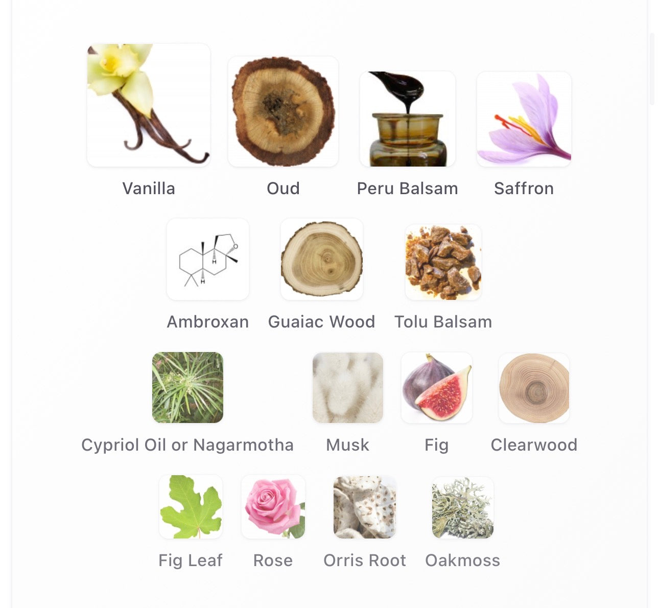 Goldfield & Banks Silky Woods Elixir Sample