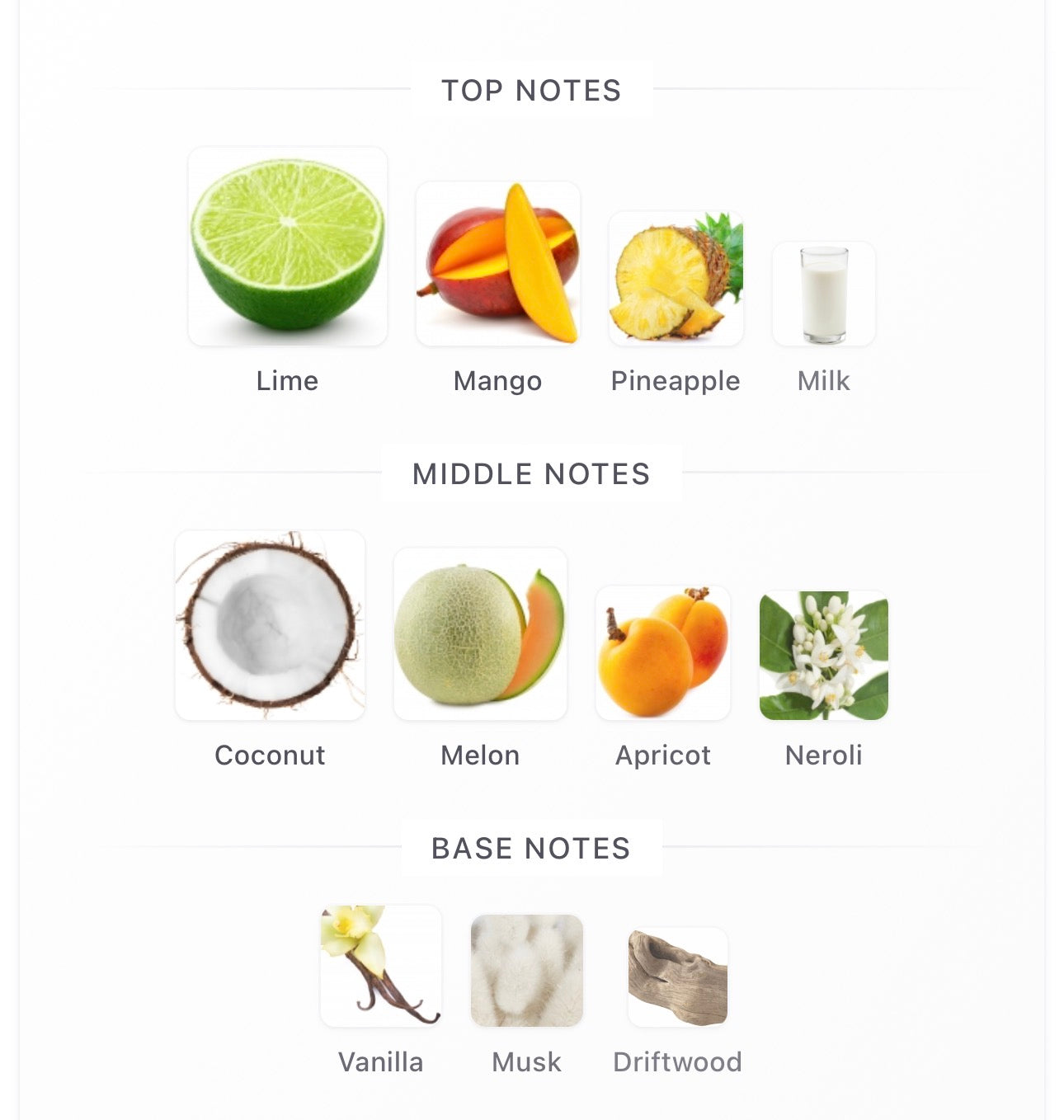 City Rhythm Puerto Rico Sample