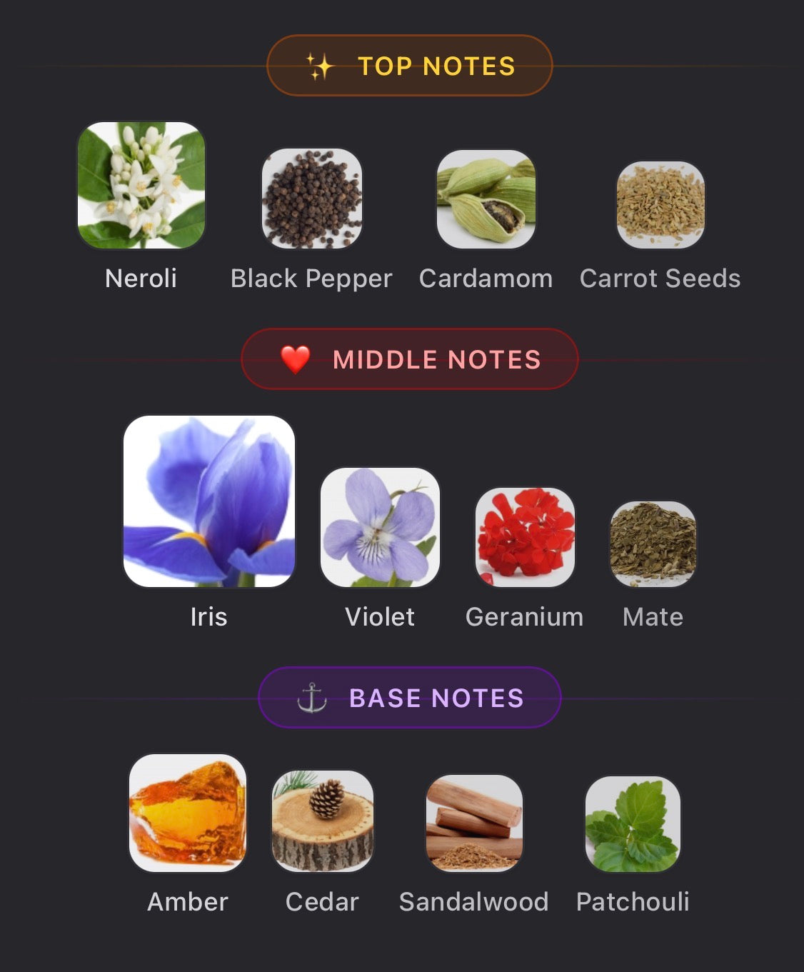 Prada L’Homme Sample