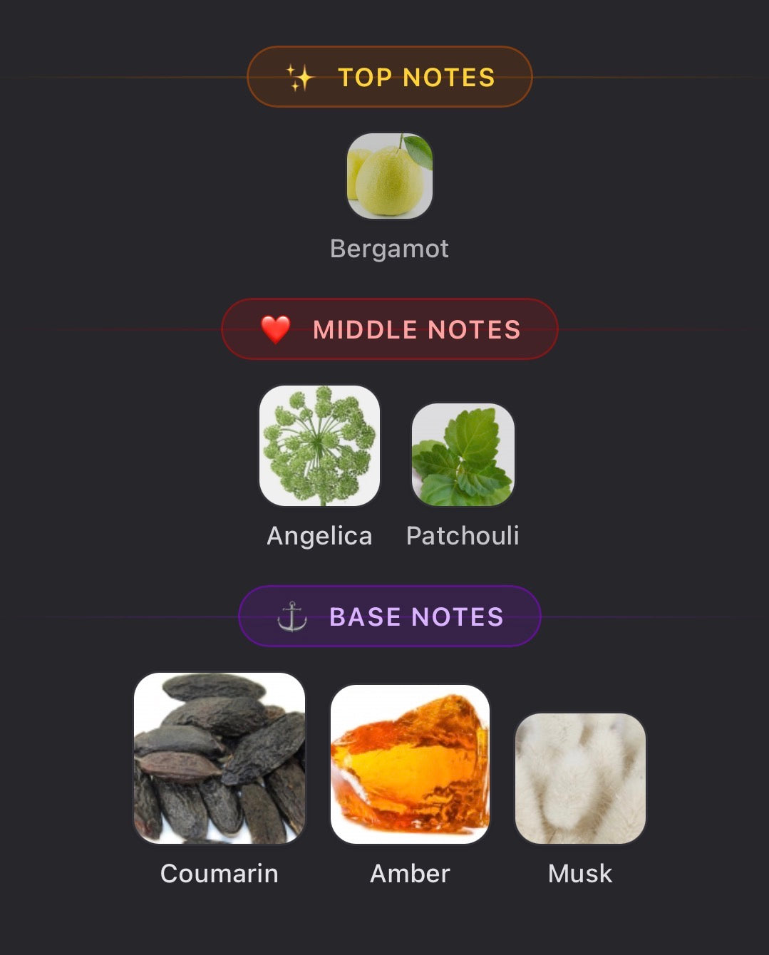 Prada Luna Rosa Black Sample