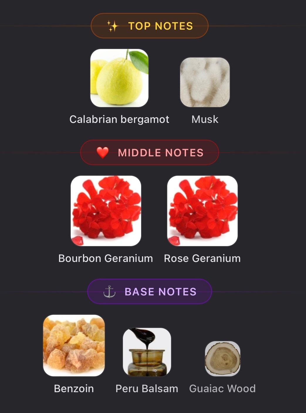 Prada Paradigme Sample