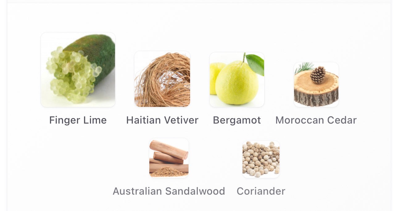 Goldfield & Banks Bohemian Lime Sample