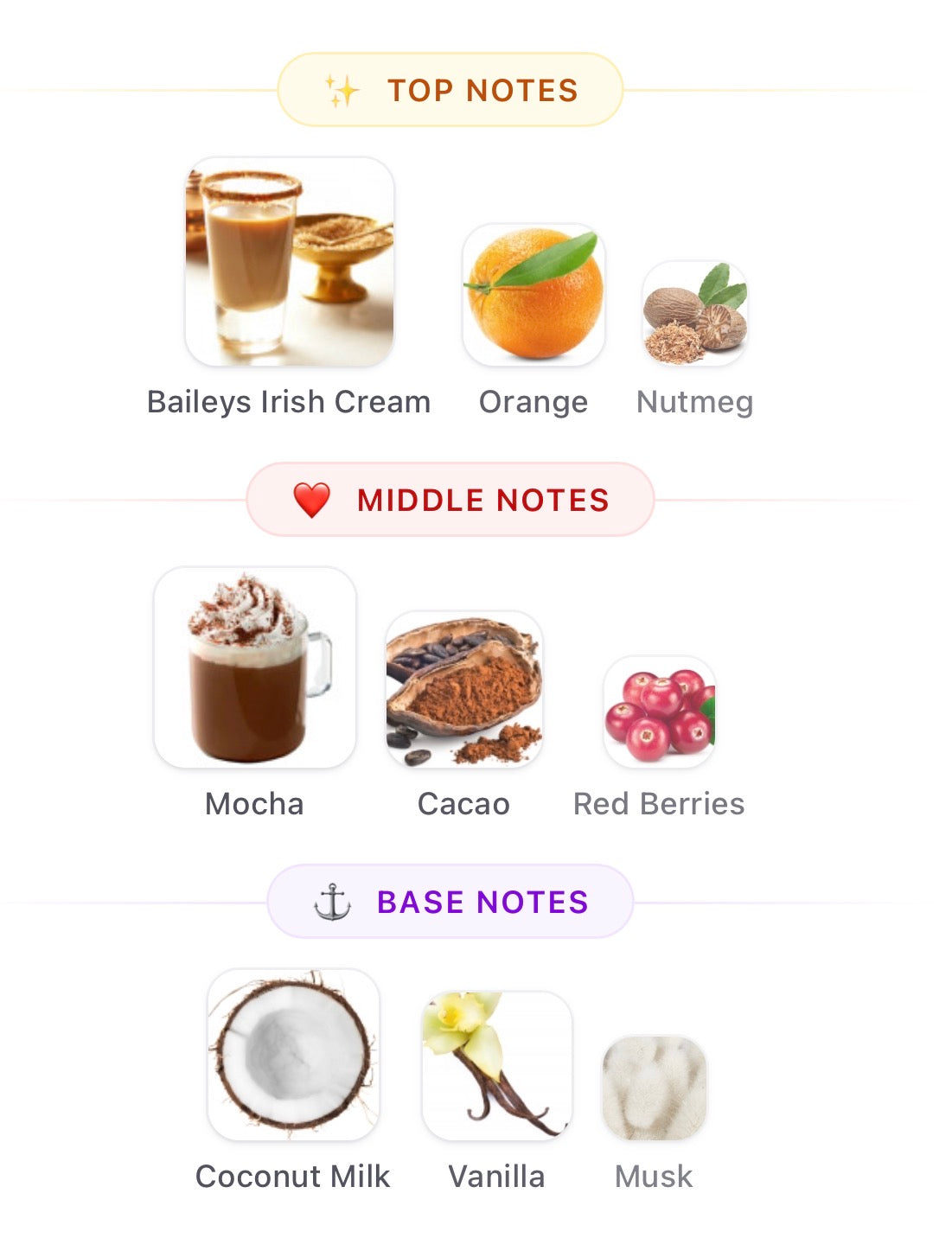 City Rhythm Nashville Sample