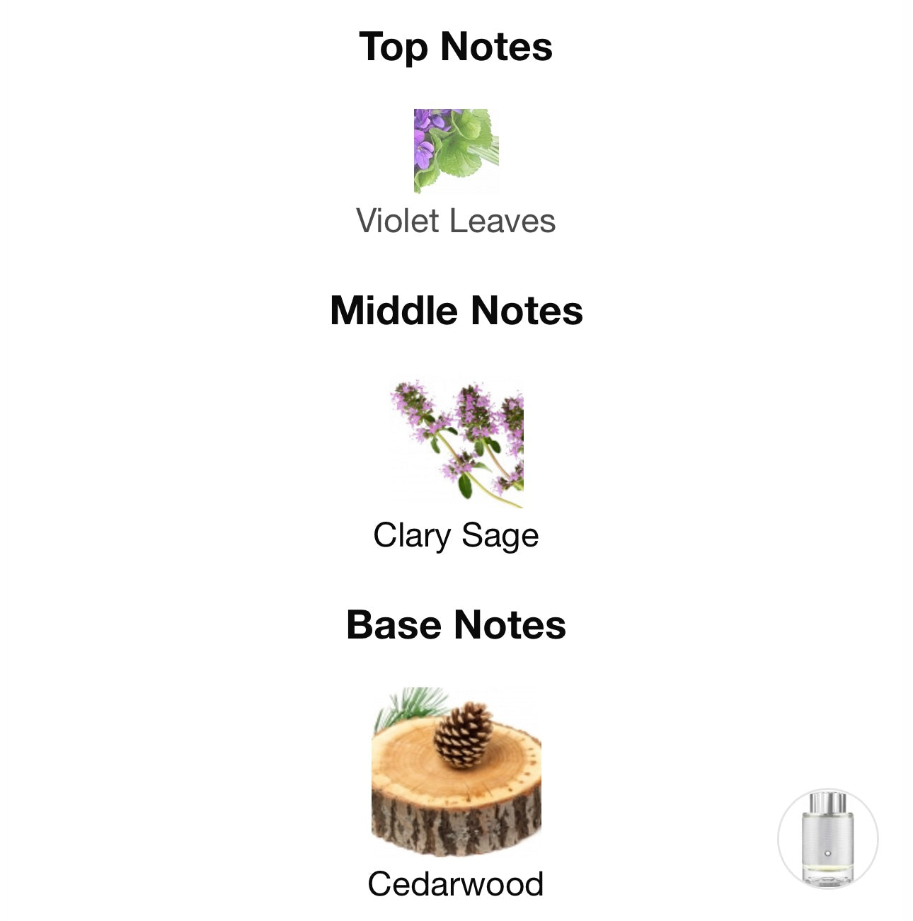 Mont Blanc Explorer Platinum Sample