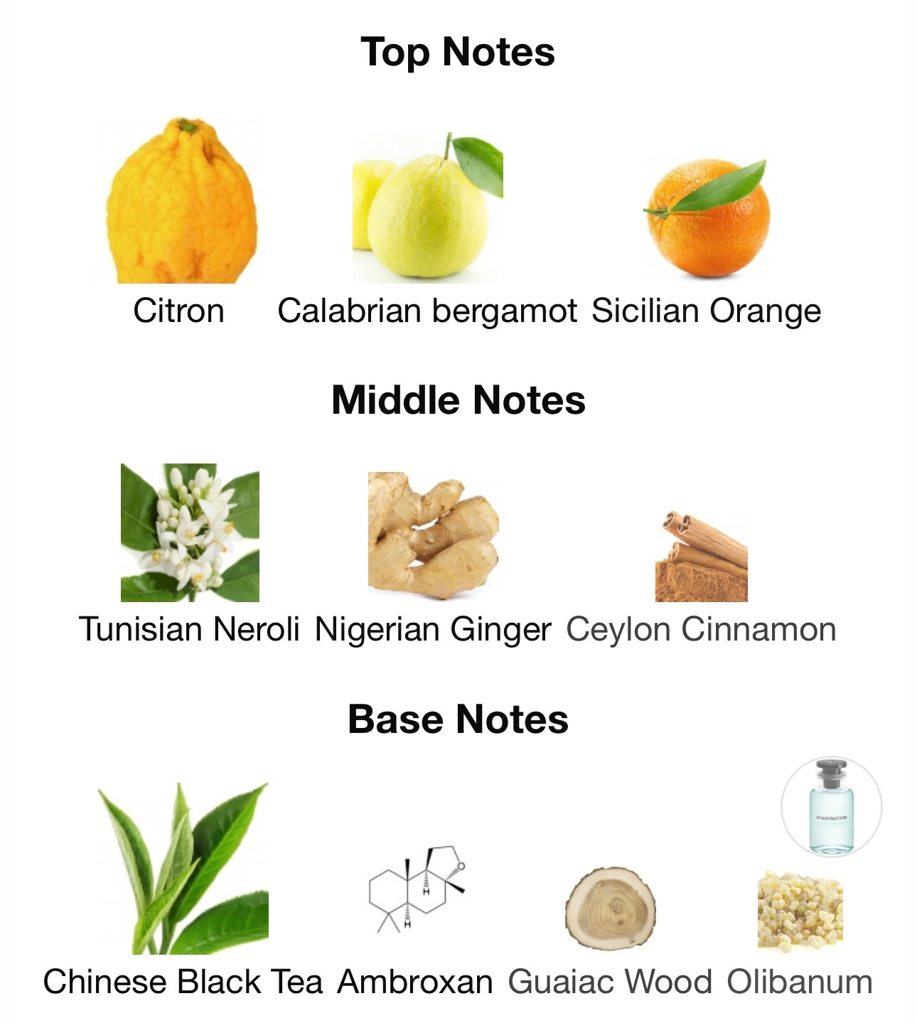 Louis Vuitton Imagination Sample