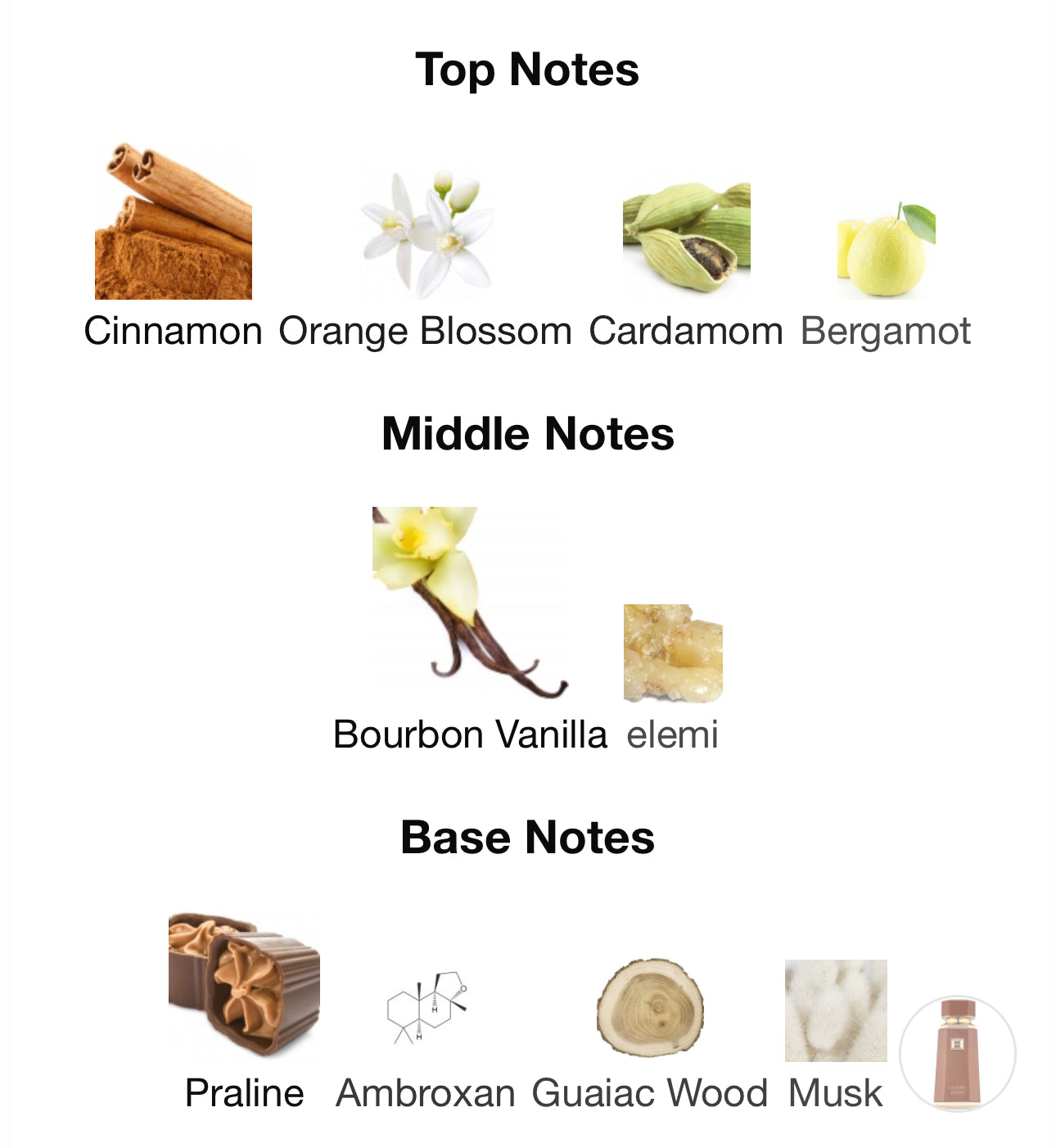 French Avenue Liquid Brun Sample